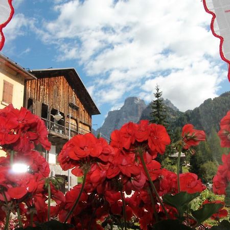 Dolomites Holidays Сельва-ди-Кадоре Номер фото
