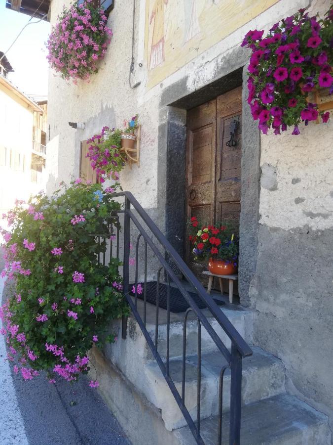 Dolomites Holidays Сельва-ди-Кадоре Экстерьер фото