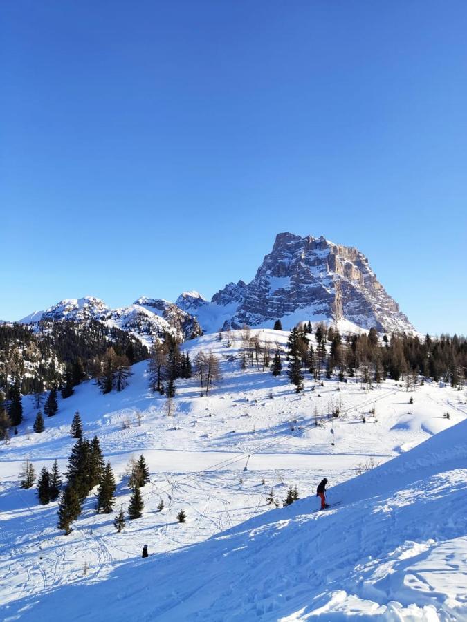 Dolomites Holidays Сельва-ди-Кадоре Экстерьер фото